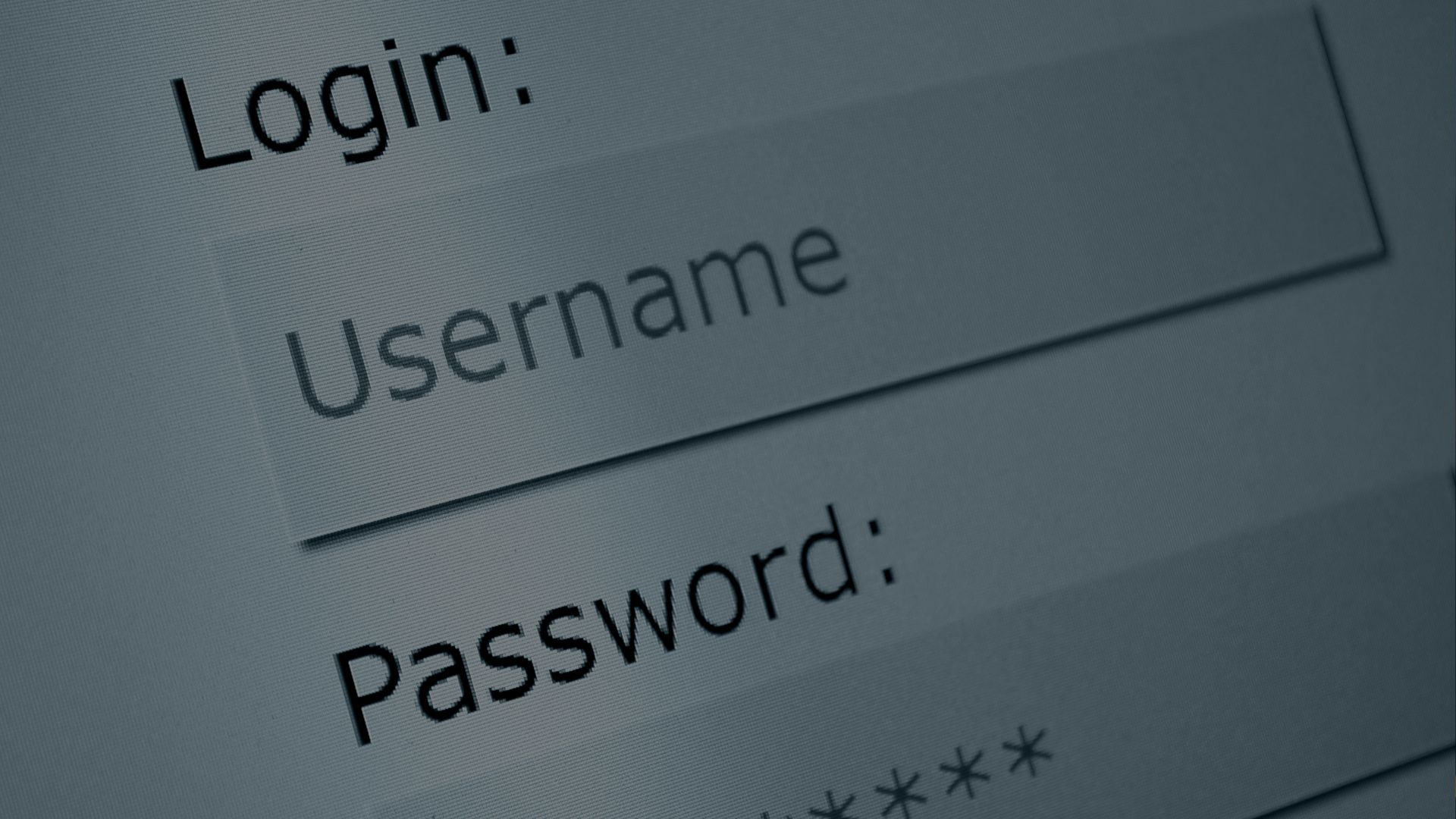 Introducing the New Client Portal